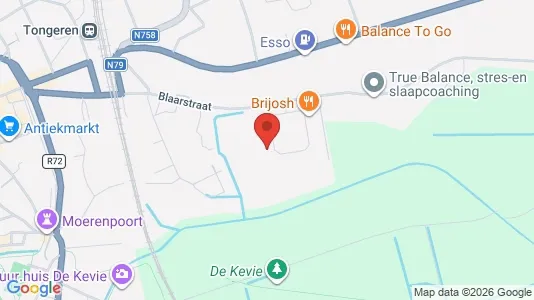 Apartments for rent in Tongeren - Photo from Google Street View