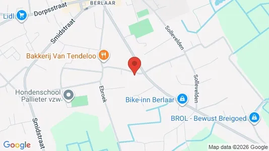Apartments for rent in Berlaar - Photo from Google Street View