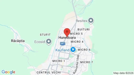 Houses for rent i Hunedoara - kort over placeringen