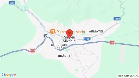 Houses for rent i Şimleu Silvaniei - kort over placeringen