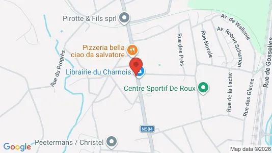Apartments for rent in Charleroi - Photo from Google Street View