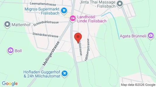 Apartments for rent i Baden - kort over placeringen
