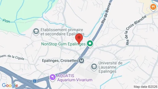 Apartments for rent in Lausanne - Photo from Google Street View
