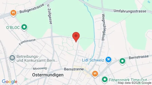 Apartments for rent i Bern-Mittelland - kort over placeringen