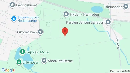 Apartments for rent i Hedehusene - kort over placeringen