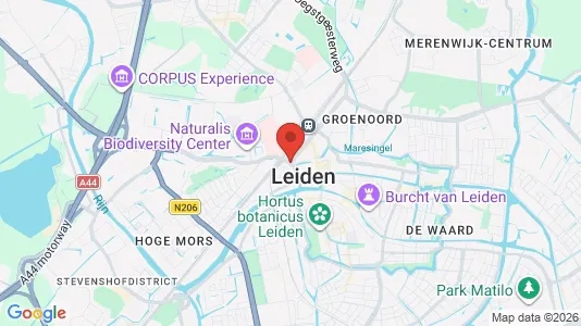 Houses for rent in Leiden - Photo from Google Street View