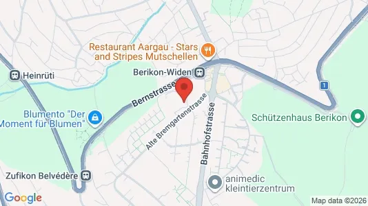 Apartments for rent i Bremgarten - kort over placeringen