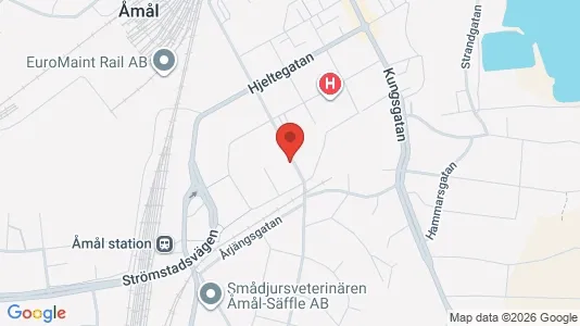 Apartments for rent i Åmål - kort over placeringen