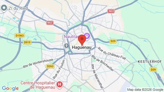 Apartments for rent i Haguenau-Wissembourg - kort over placeringen