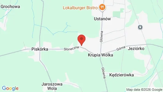 Apartments for rent in Piaseczyński - Photo from Google Street View