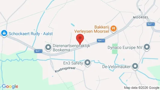 Apartments for rent in Aalst - Photo from Google Street View