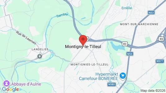 Houses for rent in Montigny-le-Tilleul - Photo from Google Street View