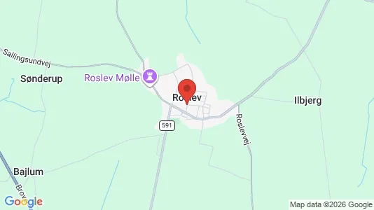 Houses for rent in Roslev - Photo from Google Street View