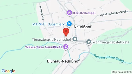 Apartments for rent i Blumau-Neurißhof - kort over placeringen