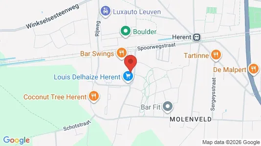 Apartments for rent in Herent - Photo from Google Street View