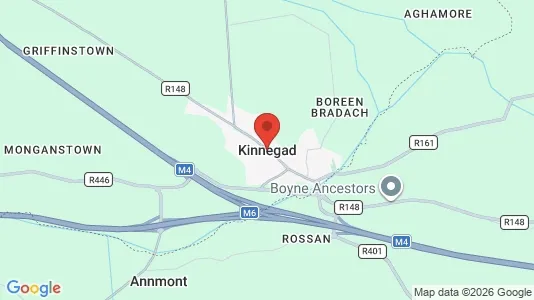 Apartments for rent i Kinnegad - kort over placeringen