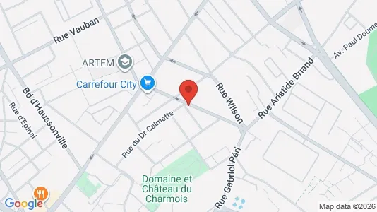 Apartments for rent i Nancy - kort over placeringen