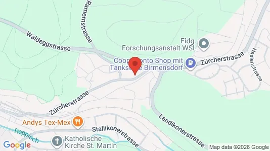 Apartments for rent i Dietikon - kort over placeringen