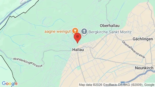 Apartments for rent i Unterklettgau - kort over placeringen