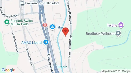 Apartments for rent i Liestal - kort over placeringen