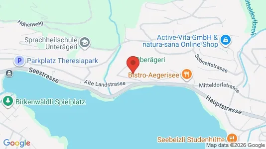 Apartments for rent i Zug - kort over placeringen