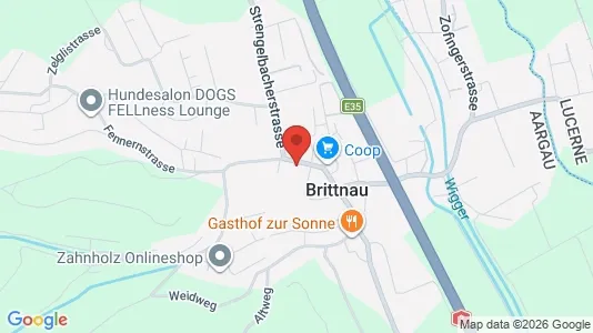 Apartments for rent i Zofingen - kort over placeringen