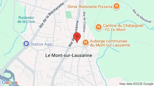 Apartments for rent i Lausanne - kort over placeringen