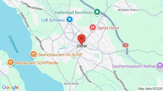 Apartments for rent i Uster - kort over placeringen