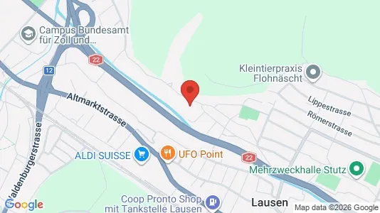 Apartments for rent i Liestal - kort over placeringen