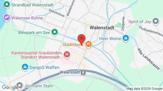 Rooms for rent i Sarganserland - kort over placeringen