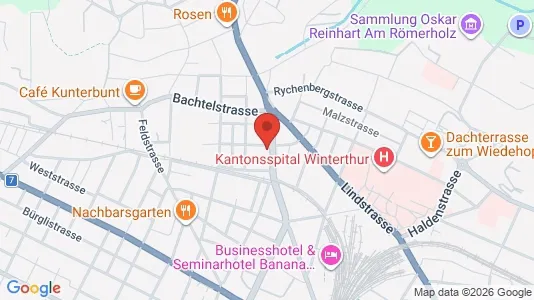 Apartments for rent i Winterthur - kort over placeringen