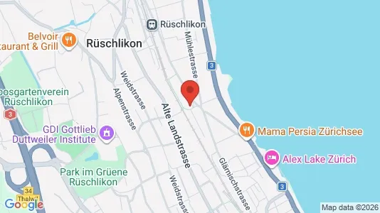 Apartments for rent i Horgen - kort over placeringen