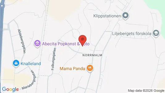 Apartments for rent i Borås - kort over placeringen