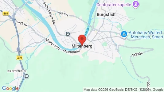 Apartments for rent i Miltenberg - kort over placeringen