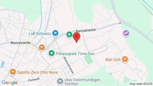 Apartments for rent i Bern-Mittelland - kort over placeringen