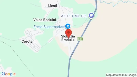 Apartments for rent i Slobozia Bradului - kort over placeringen