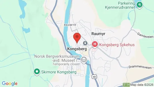 Houses for rent i Kongsberg - kort over placeringen
