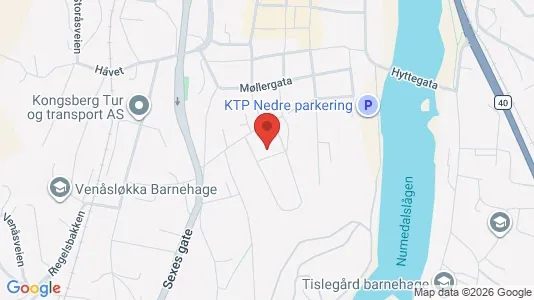 Apartments for rent i Kongsberg - kort over placeringen