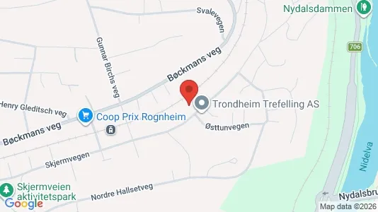 Apartments for rent i Trondheim Midtbyen - kort over placeringen
