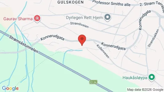 Rooms for rent i Drammen - kort over placeringen