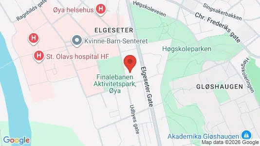 Apartments for rent i Trondheim Midtbyen - kort over placeringen
