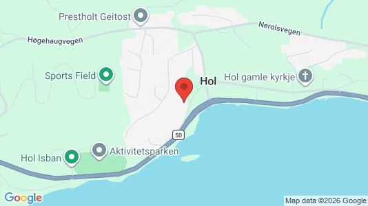 Apartments for rent i Hol - kort over placeringen
