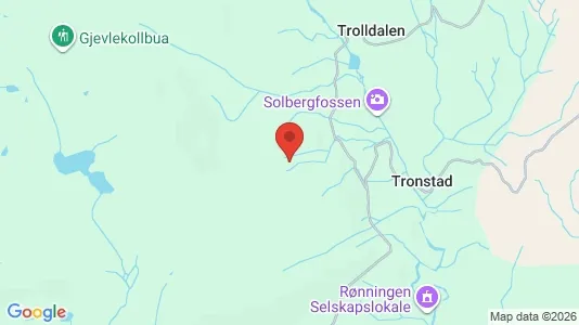 Houses for rent i Lier - kort over placeringen