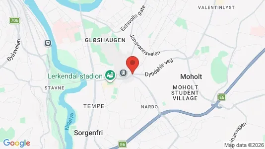 Houses for rent i Trondheim Lerkendal - kort over placeringen