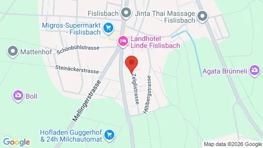 Apartments for rent i Baden - kort over placeringen