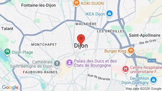 Apartments for rent i Dijon - kort over placeringen