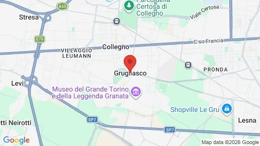 Apartments for rent i Grugliasco - kort over placeringen