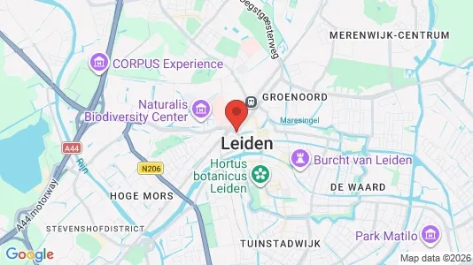 Apartments for rent in Leiden - Photo from Google Street View