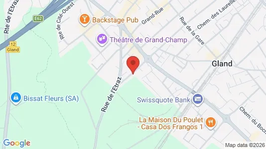 Apartments for rent in Nyon - Photo from Google Street View