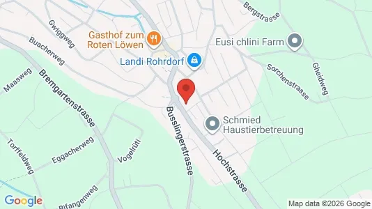 Apartments for rent in Baden - Photo from Google Street View